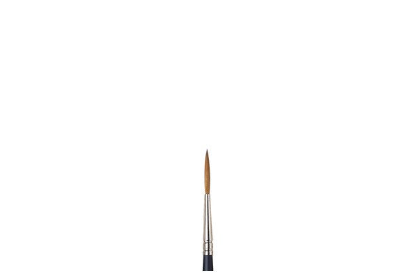 ARTISTS WATERCOLOUR BRUSH Sable Rigger 3